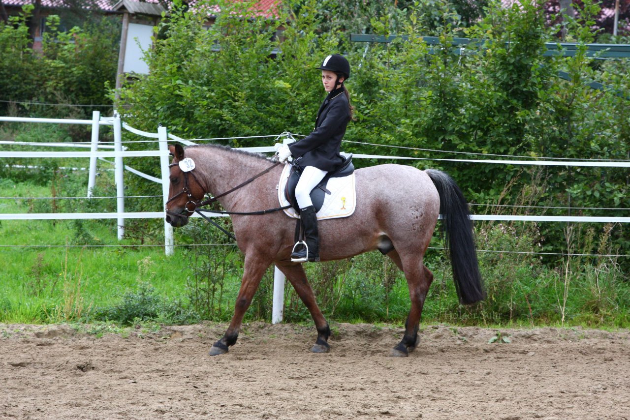 Bild 770 - WBO-Turnier am 18.9.11